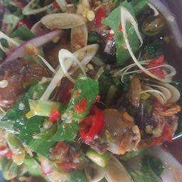 ยำหอยแครง