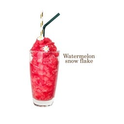 WATERMELON ICE FLAKE