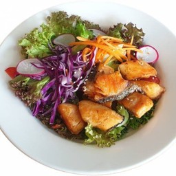 สลัดแซลม่อน