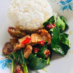 ผัดคะน้าหมูกรอบราดข้าว