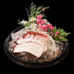 หนวดหมึกยักษ์ Tako sashimi sa9