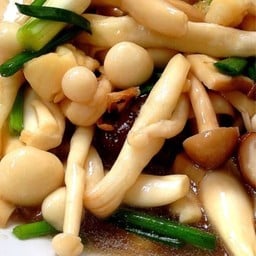 ผัดเห็ดต้นหอม (กับข้าว)