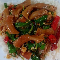 กะเพราไส้อ่อน