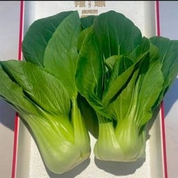 เบบี้ฮ่องเต้