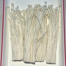 เห็ดเข็มทอง