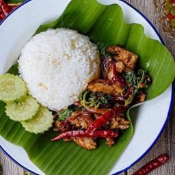 เป็ดกระเพราพริกแห้ง ราดข้าว