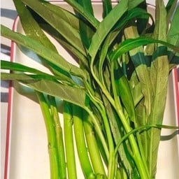 ผักบุ้ง