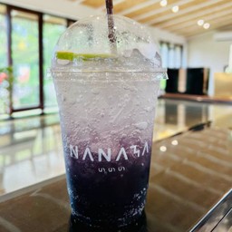 บลูเบอรี่สปาคคลิ่ง