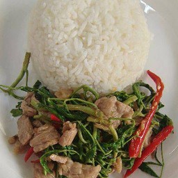 ข้าวกระเฉดหมูชิ้น