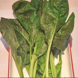 ผักปวยเล้ง