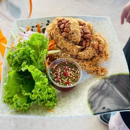 ปลาดุกฟู