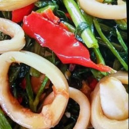 ข้าวราดผัดผักบุ้งปลาหมึก