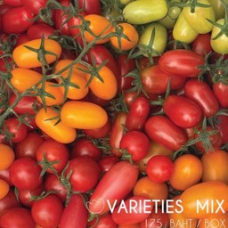 Mix Varieties