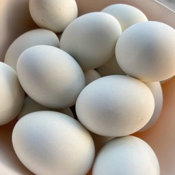 ไข่เค็ม