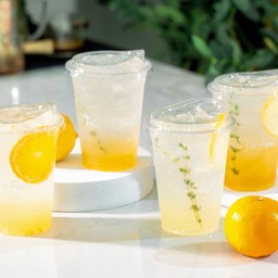 YUZU SODA - ยูซุโซดา