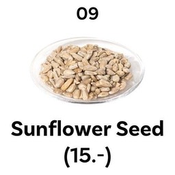 09. Sunflower Seed (เมล็ดทานตะวัน) 8g