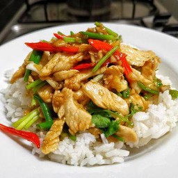 ไก่ผัดน้ำมันหอยราดข้าว