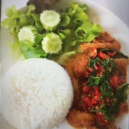 ข้าวไก่กรอบซอสกะเพรา