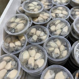 หอยนางรมกระปุก