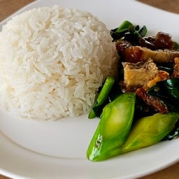 ข้าวคะน้าหมูกรอบ