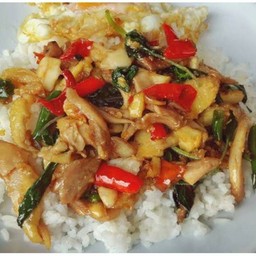 กระเพราไก่ราดข้าว