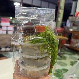 หอยนางรมชุด3 กระปุก