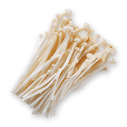 Enoki Mushroom