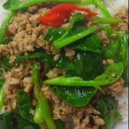 ผัดคะน้า(กับข้าว)