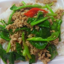 ผัดคะน้าราดข้าว