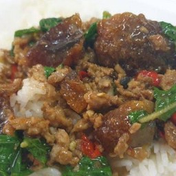 กระเพราหมูสับไข่เยี่ยวม้าราดข้าว