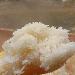 ข้าวเหนียว