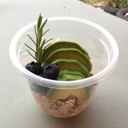 Avocado Yogurt + Grains