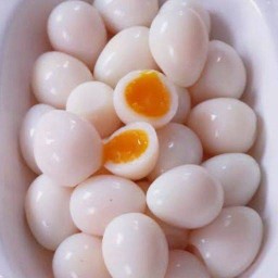 ไข่นกกระทา