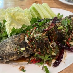 ลาบปลาช่อน