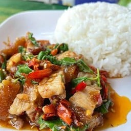 ข้าวราดกระเพราหมูกรอบ