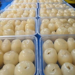 แซนวิช สลัด & ผลไม้