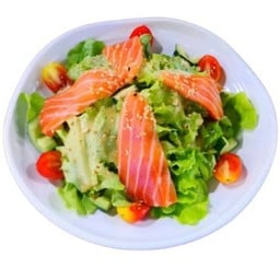 สลัดแซลมอน Salmon Salad