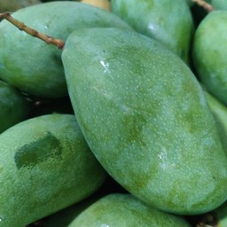 มะม่วงเปรี้ยวน้ำดอกไม้ 500 กรัม