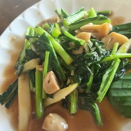 ผัดคะน้าน้ำมันหอย