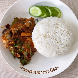 กระเพราปลากระป๋องราดข้าว