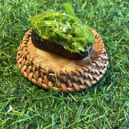 ยำสาหร่าย