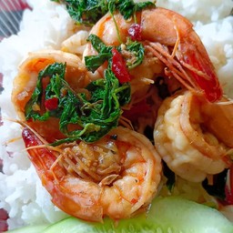 กะเพรา กุ้ง ราดข้าว