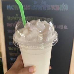 จ๋า มะพร้าวปั่นนมสด(มะพร้าวบ้านแพ้ว100%)
