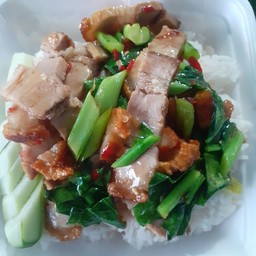 ข้าวราดผัดคะน้าหมูกรอบ