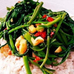 ผักบุ้งไฟแดงราดข้าว+ไข่ดาว (ไม่ใส่เนื้อสัตว์)