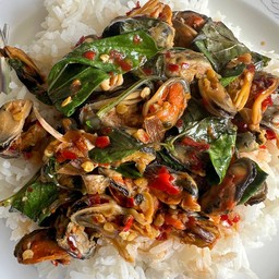 ผัดพริกสดหอยแมลงภู่