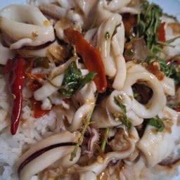 กะเพราหญิงหวาน