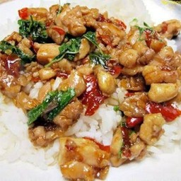 กะเพราไก่/ราดข้าว