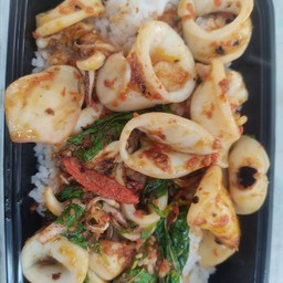 ข้าวราดกะเพราะปลาหมึก