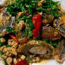กระเพราหมูสับไข่เหยี่ยวม้า
